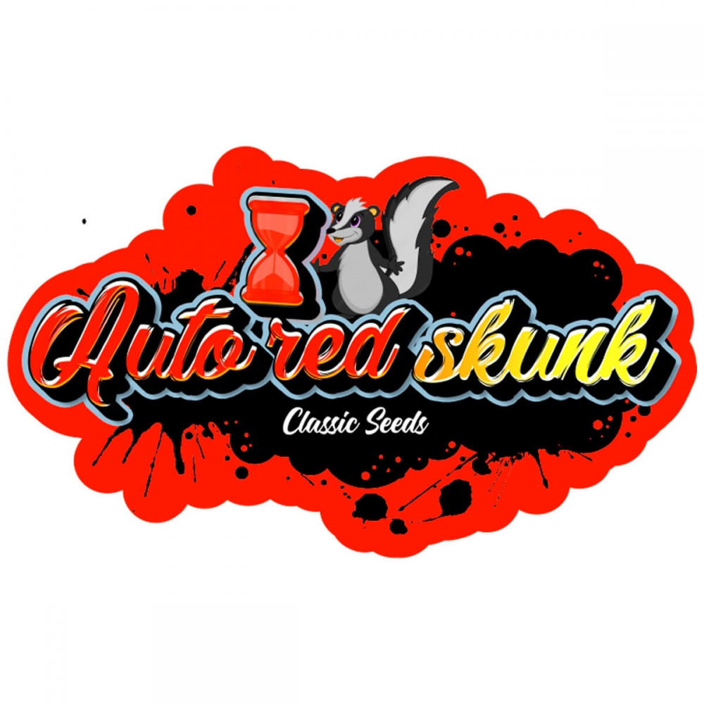 Semilla marihuana feminizada autofloreciente auto red skunk (classic seeds)