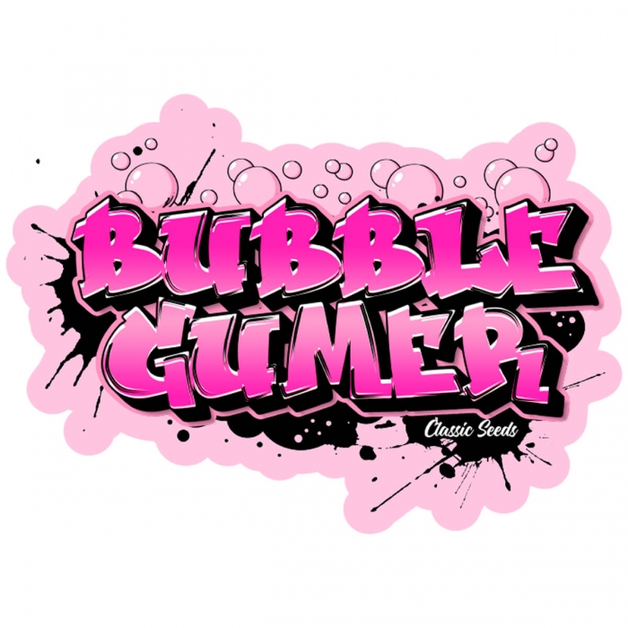 Semilla marihuana feminizada Bubble Gumer (classic seeds)