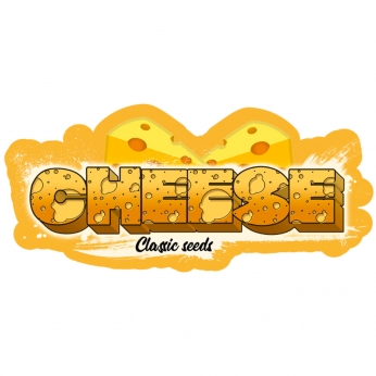 Semilla marihuana feminizada Cheese (classic seeds)