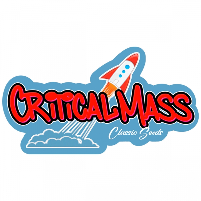 Semilla marihuana feminizada Critical Mass (classic seeds)