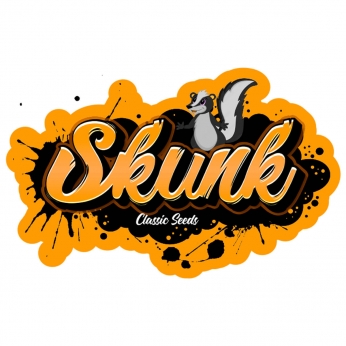 Semilla marihuana feminizada Skunk (classic seeds)