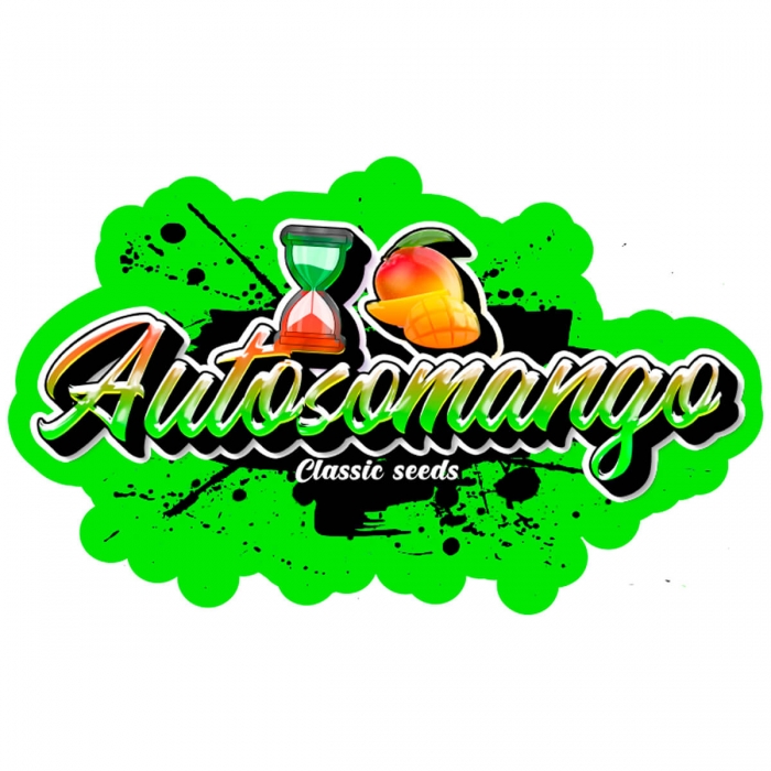 Semilla marihuana feminizada autofloreciente auto somango (classic seeds)