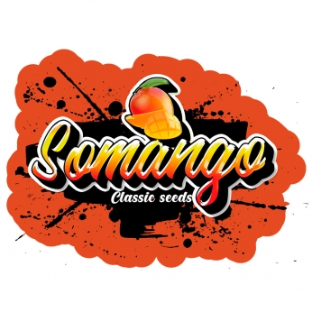 Semilla marihuana feminizada Somango (classic seeds)
