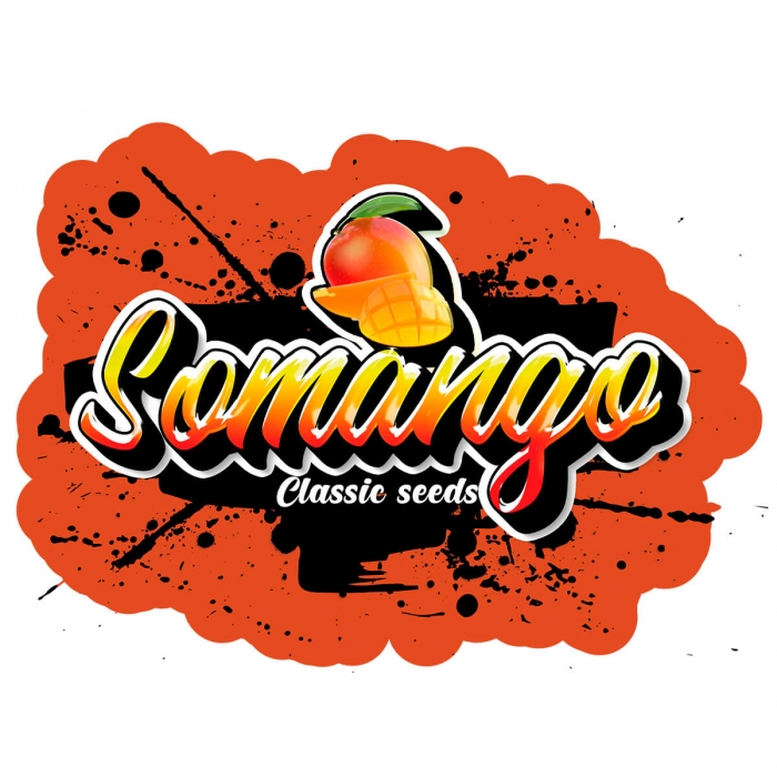 Semilla marihuana feminizada Somango (classic seeds)