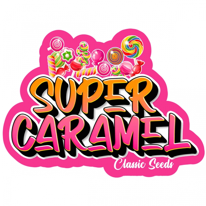 Semilla marihuana feminizada Super Caramel (classic seeds)