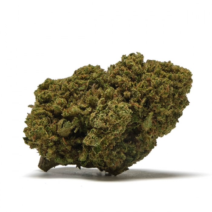 FLORES CBD GELATO FP 3g  y 10g cogollos