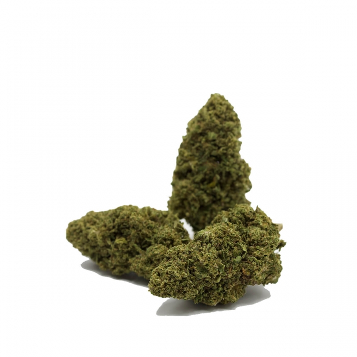FLORES CBD GORILLA KING FP