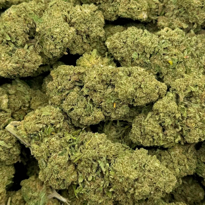 FLORES CBD GORILLA KING FP