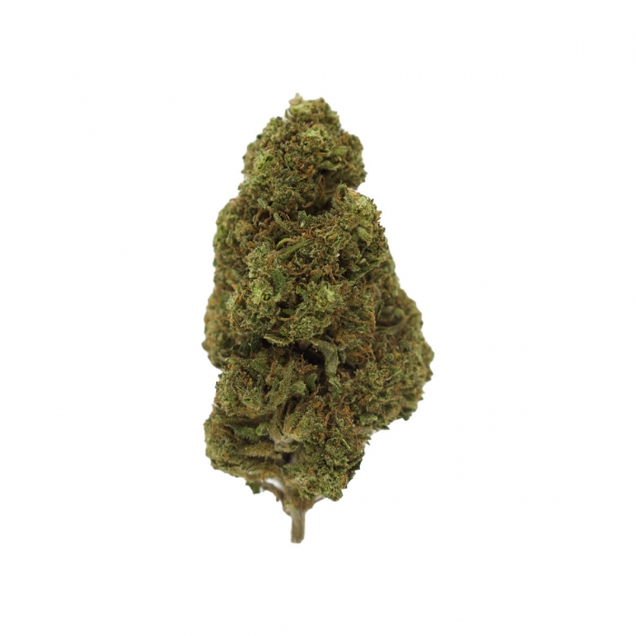 FLORES CBD MIMOSA FP