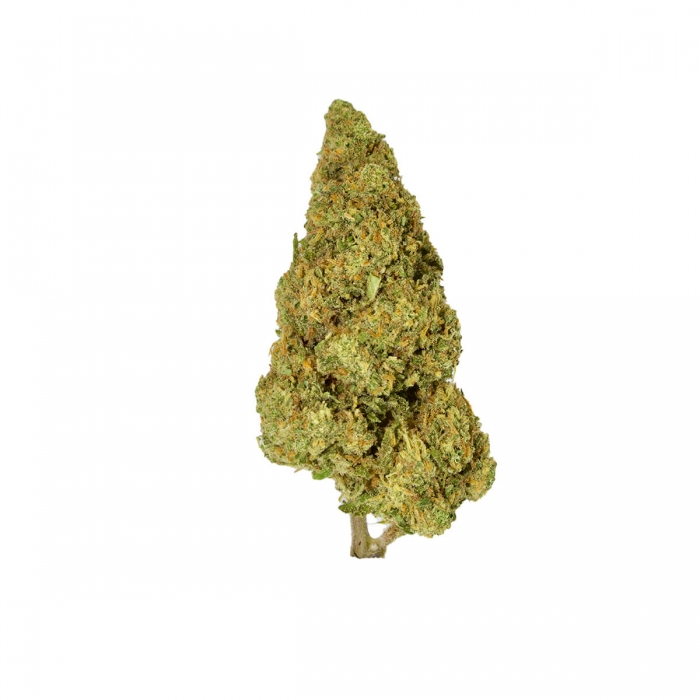 Cogollos de marihuana CBD Amnesia Lemon FP - Envase de 2 y 10 gramos
