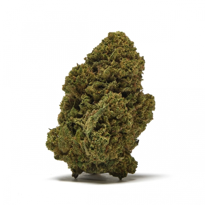 FLORES CBD GELATO FP 3g  y 10g cogollos