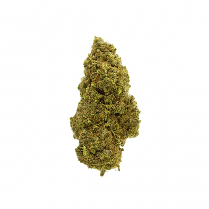 MARIHUANA CBD TROPICANA FP