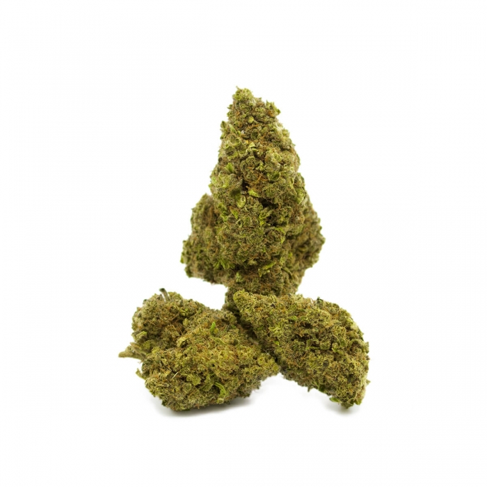 COGOLLOS CBD TROPICANA FP