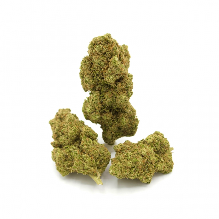 FLORES CBD TROPICAL RUNTZ FP cogollos