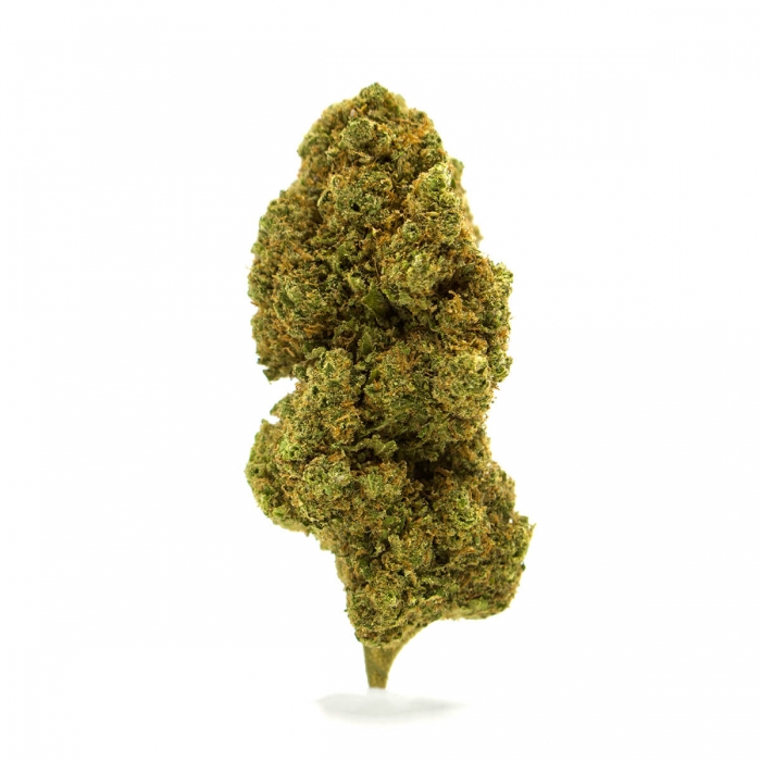 FLORES CBD TROPICAL RUNTZ FP cogollos