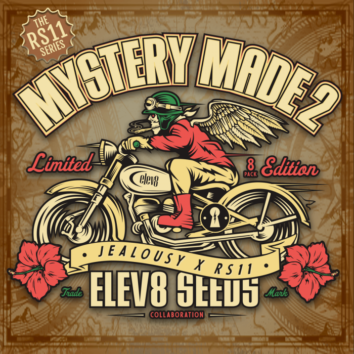 Semillas de marihuana Feminizadas MYSTERY MADE 2 (Elev8 Seeds) logo
