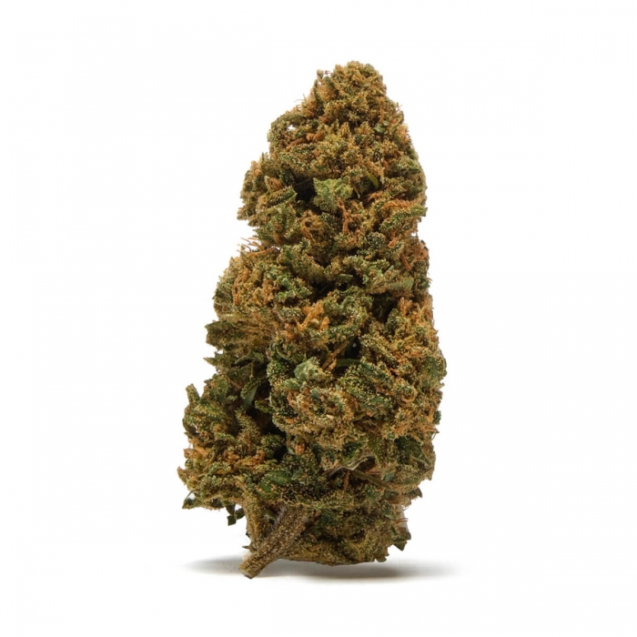 FLORES CBD AMNESIA FP