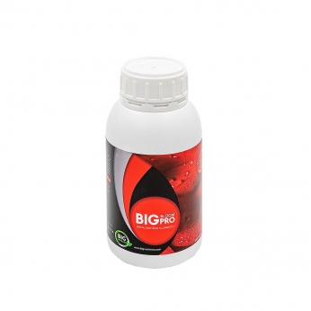 Abono de floración Big Bloom Pro (Big Nutrients). 500ml