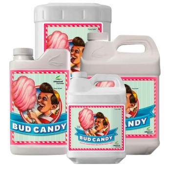 BUD CANDY