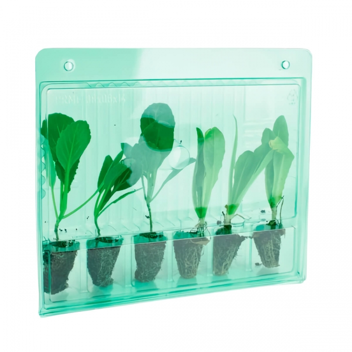 FUNDA TRANSPORTE 6 ESQUEJES
