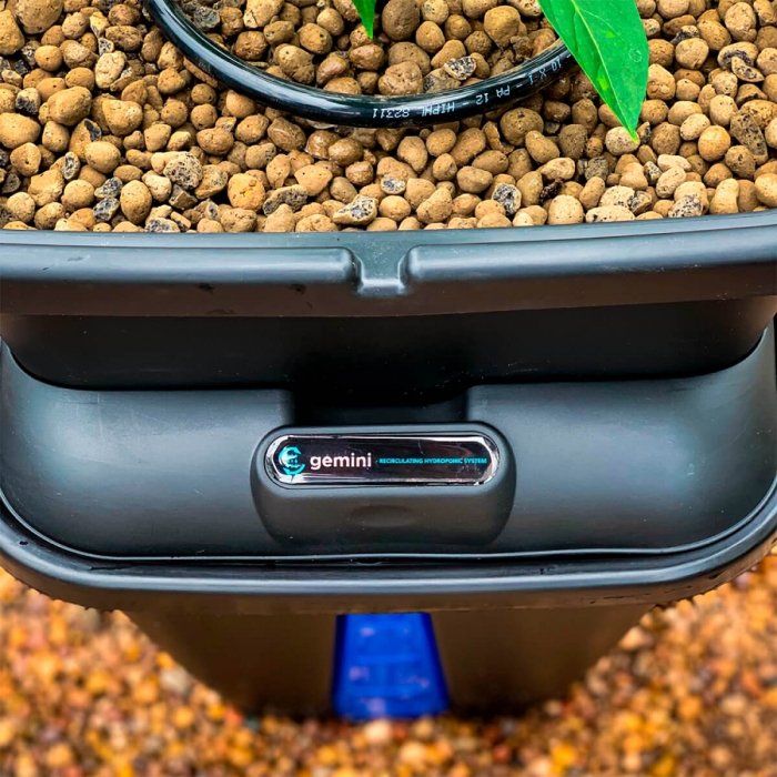 SISTEMA Gemini hidropónico para cultivo.