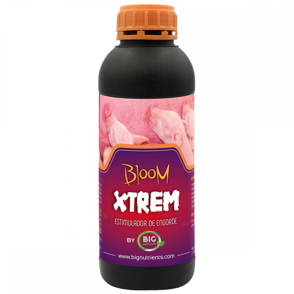 Bloom Xtrem 1L (Big Nutrients)