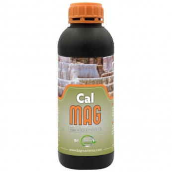 CALMAG (Big Nutrients)