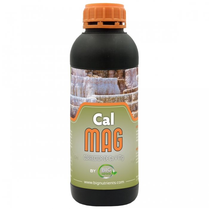 CALMAG (Big Nutrients)