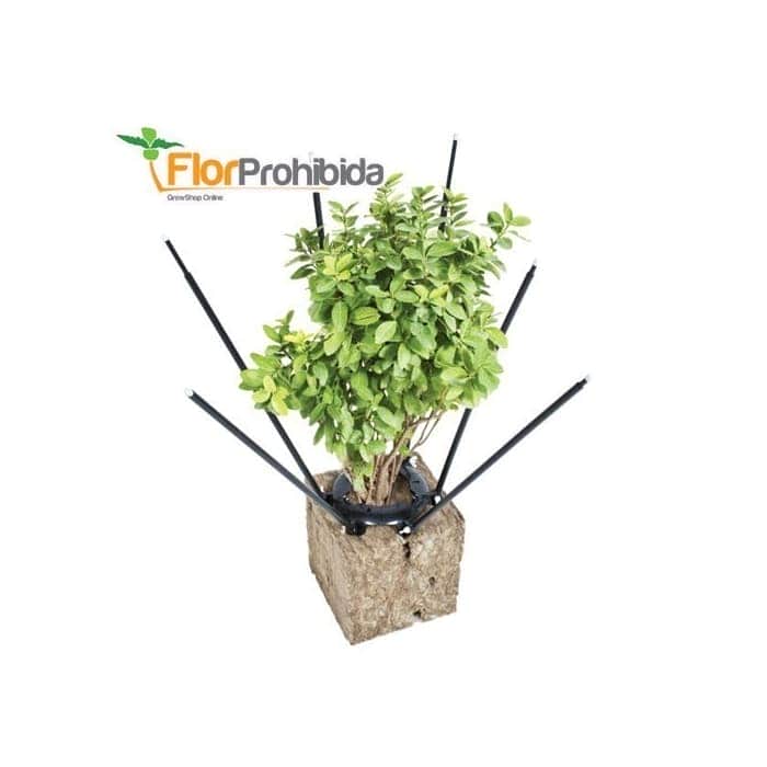 ULTIMATE PLANT CAGE