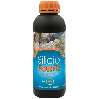 Silicio Forte (BigNutrients) 1L