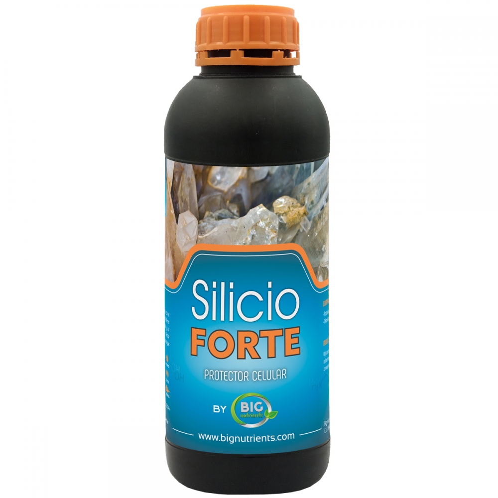 Silicio Forte (BigNutrients) 1L