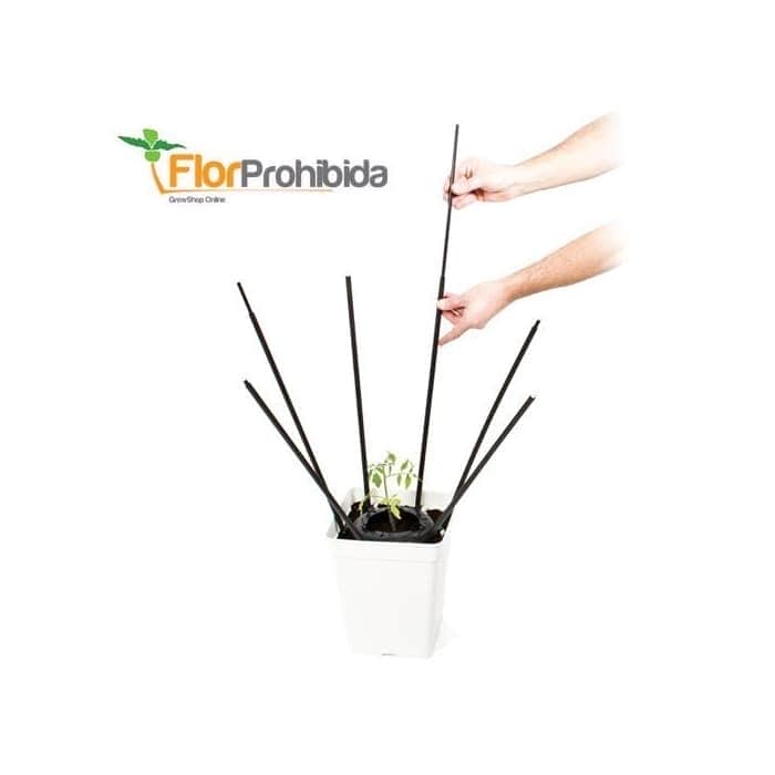 ULTIMATE PLANT CAGE