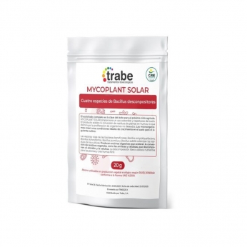 Microplant Solar de Trabe