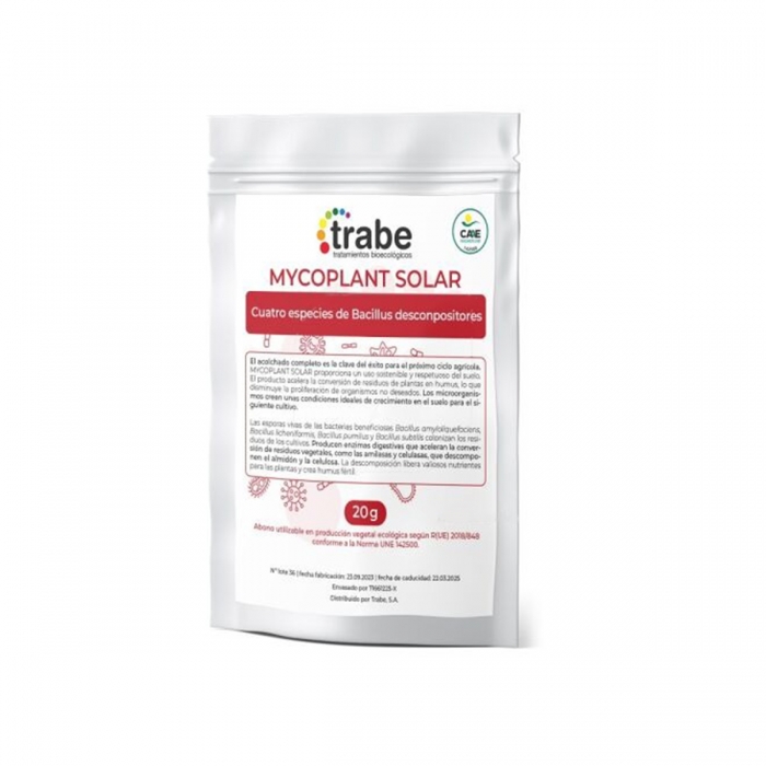 Microplant Solar de Trabe