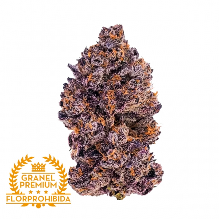 Semillas de marihuana feminizadas BANANA ZKITTLEZ A GRANEL