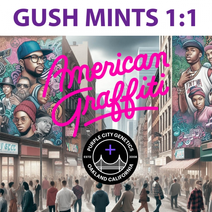 Semillas de marihuana feminizadas GUSH MINTS CBD 1:1 (Purple City Genetics)