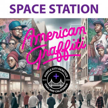 Semillas de marihuana feminizadas SPACE STATION (Purple City Genetics)