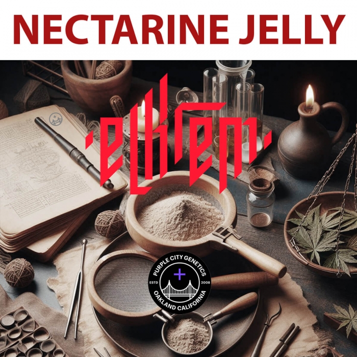 Semillas de marihuana feminizadas NECTARINE JELLY (Purple City Genetics)