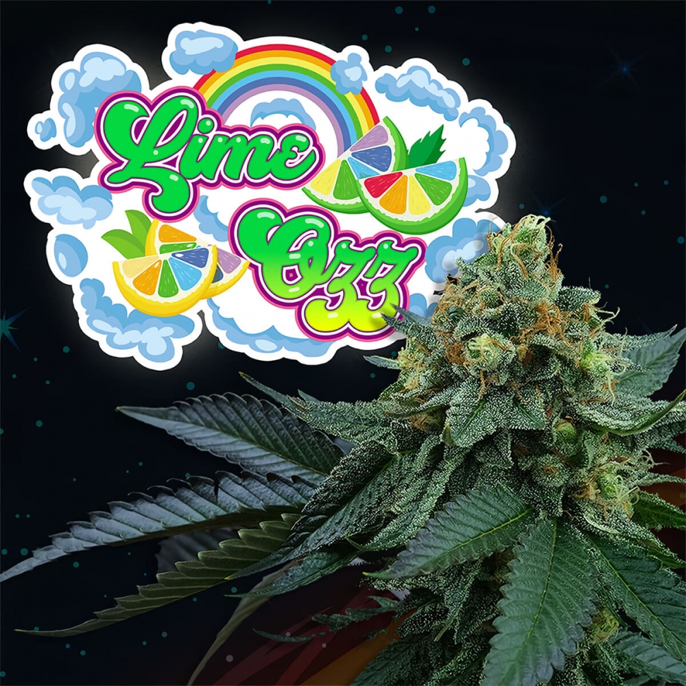 Semillas de marihuana feminizadas LIME OZZ (Perfect Tree) logo.