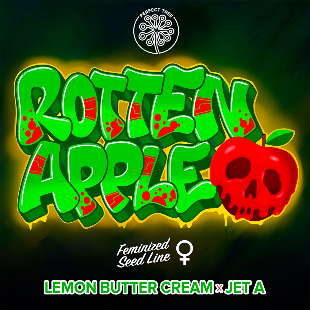 ROTTEN APPLE (Perfect Tree) logotipo.