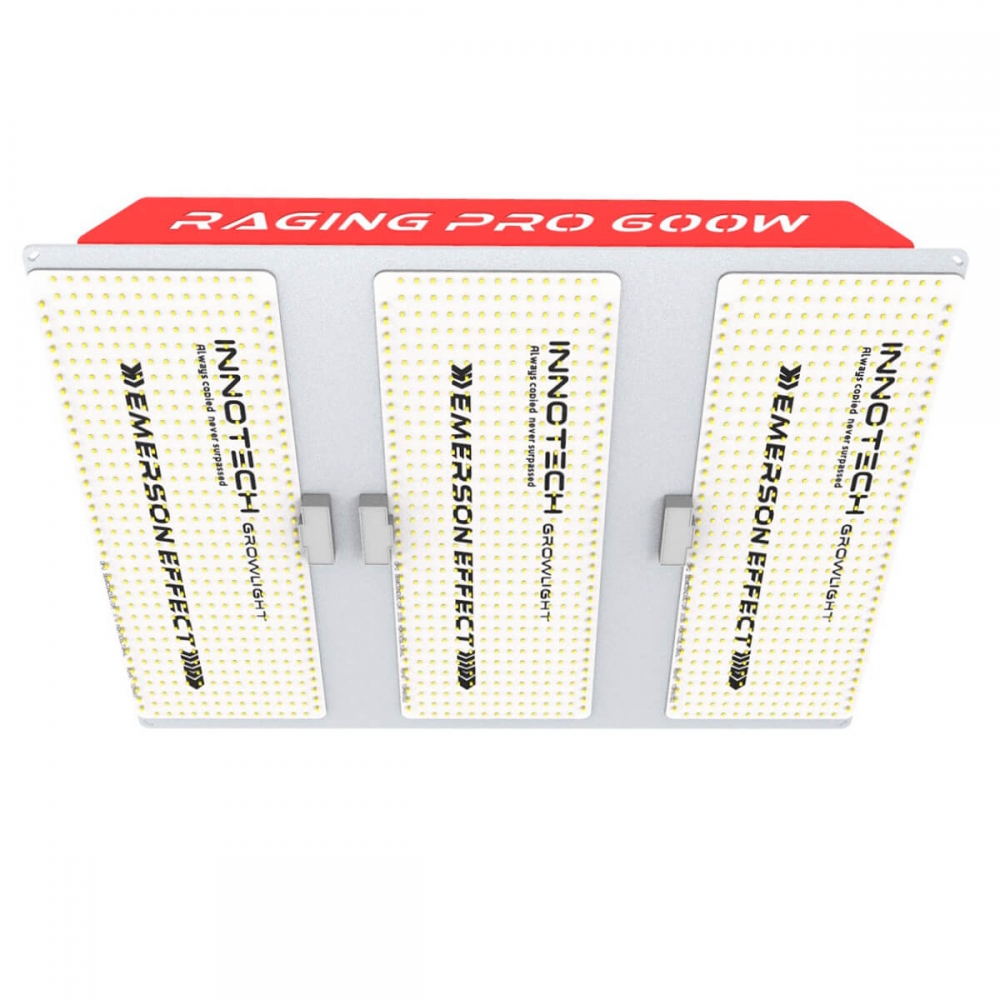 LUMINARIA LED RAGING PRO 600W para cultivo.