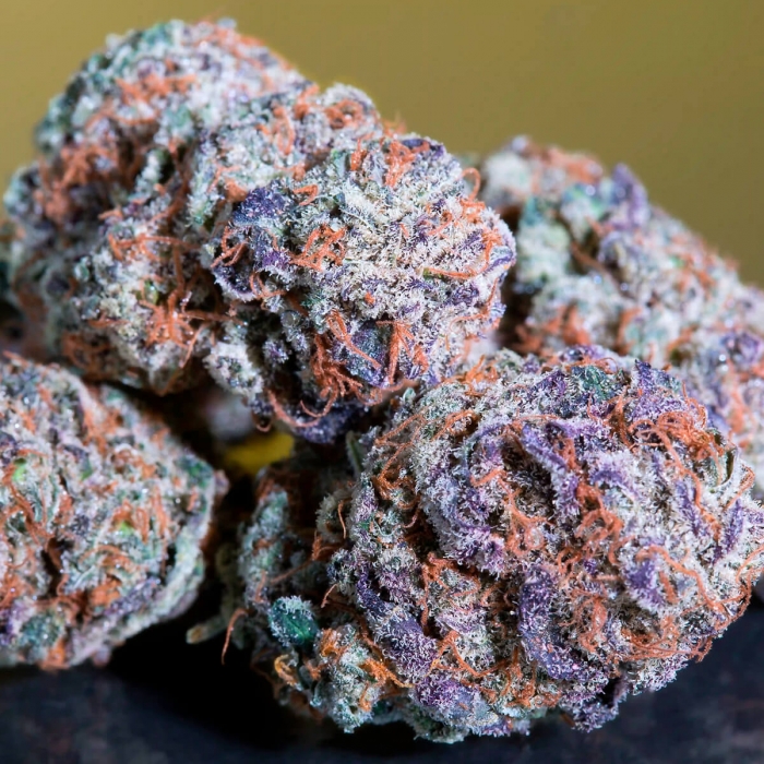 BLUE GEM (Paradise Seeds) Cogollo con resina