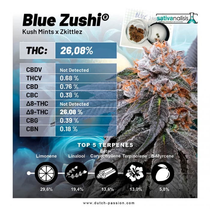 BLUE ZUSHI (Dutch Passion) características de la planta.