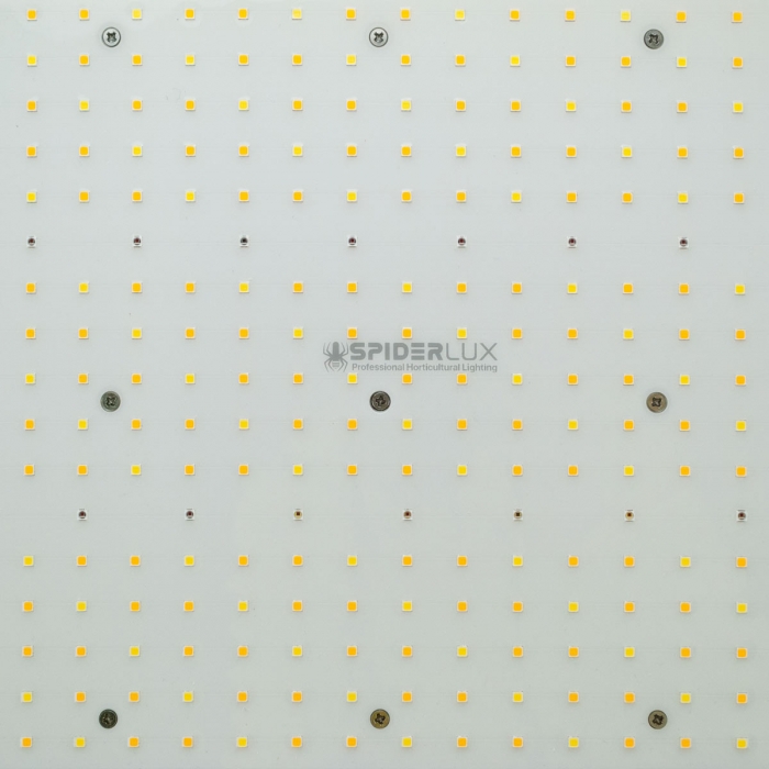 Placa LED 600W Spiderlux Modelo Q, diodos led.