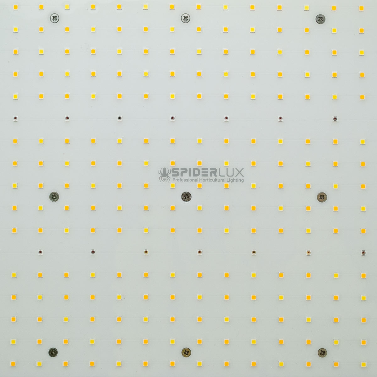 Placa LED 600W Spiderlux Modelo Q, diodos led.
