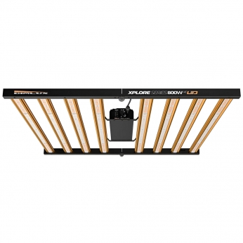 DIMLUX XPLORE LED 800W HE 285 panel led para cultivo