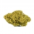 FLORES CBD MANGO HAZE (Only CBD) cogollo grande y compacto