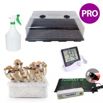 Kit cultivo de setas mágicas PREMIUM con invernadero, manta eléctrica regulable, termohigrómetro y pan de setas