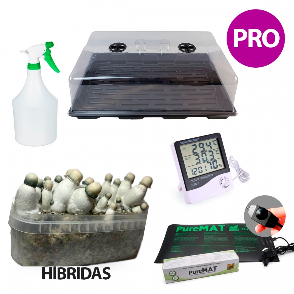 Kit de setas mágicas híbridas Premium