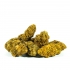 FLORES CBD AMNESIA OG (Only CBD) cogollos con resina